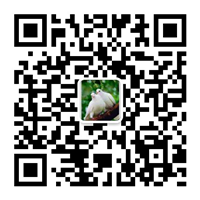 除塵設備_脫硝脫硫設備_污水處理_煙氣粉塵治理_唐山鉑銳環(huán)保科技有限公司